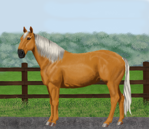 horse image