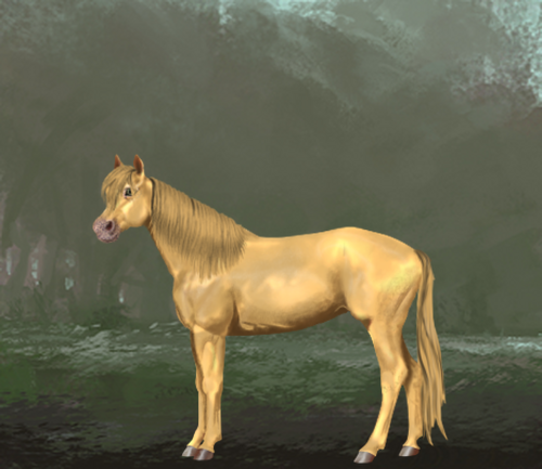 horse image