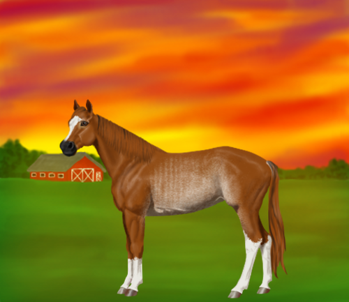 horse image