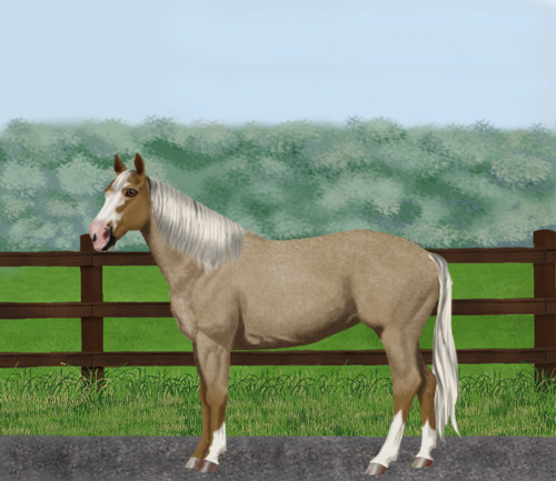 horse image