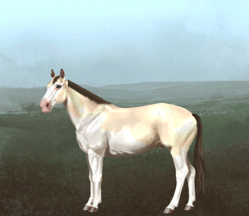 horse image