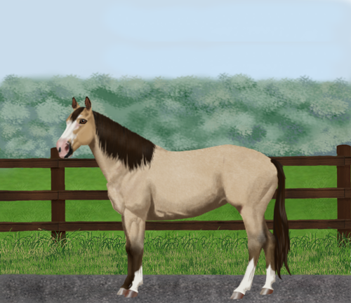 horse image