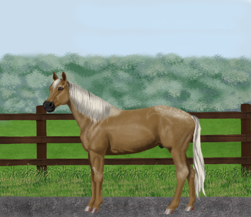 horse image