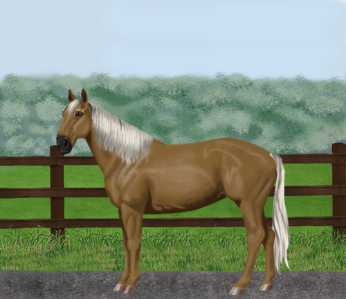 horse image