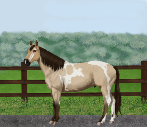 horse image