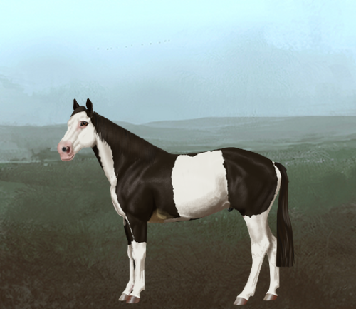 horse image