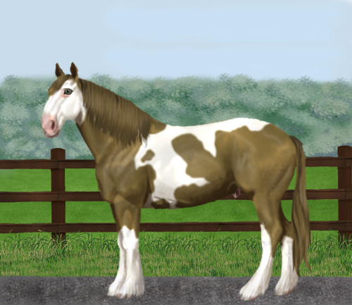 horse image