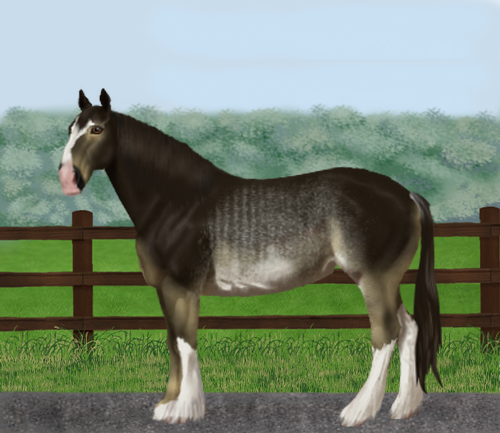 horse image