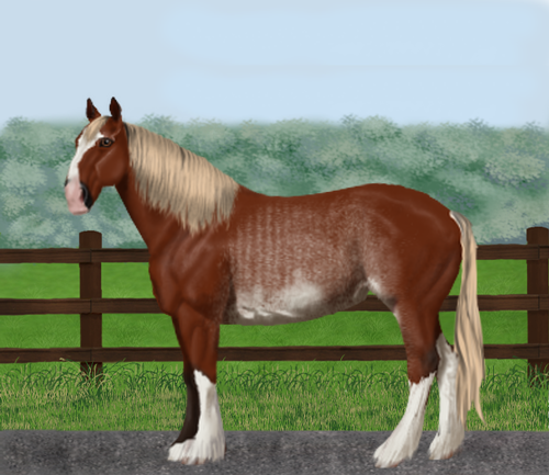 horse image