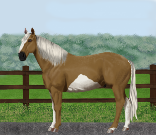 horse image