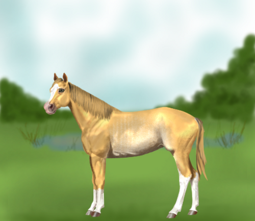 horse image