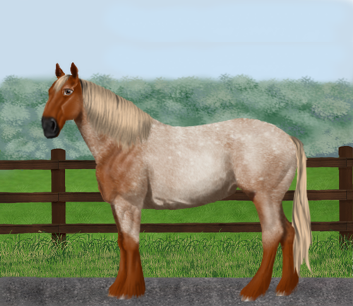 horse image