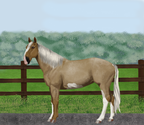 horse image