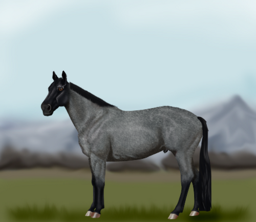 horse image