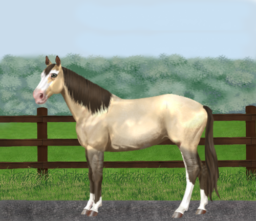 horse image