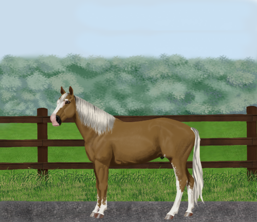 horse image