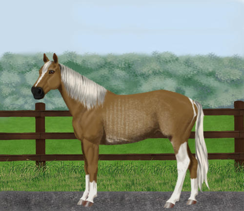 horse image