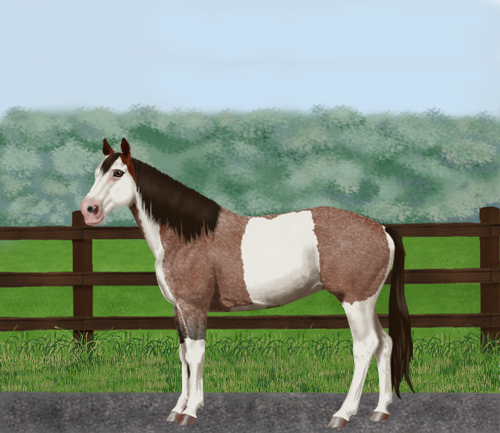 horse image