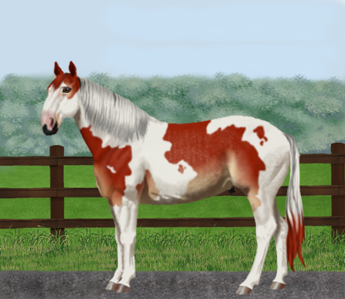 horse image