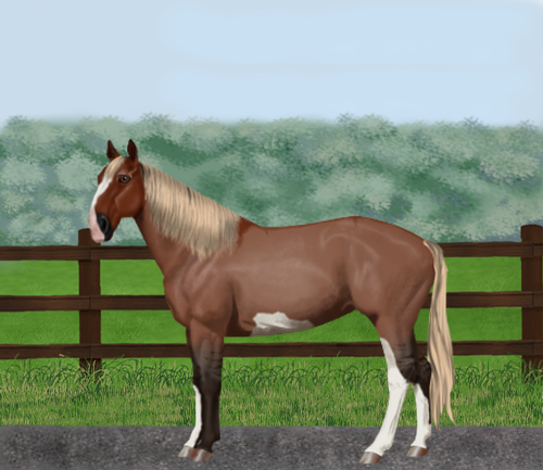 horse image