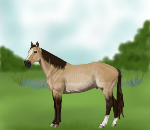 horse image