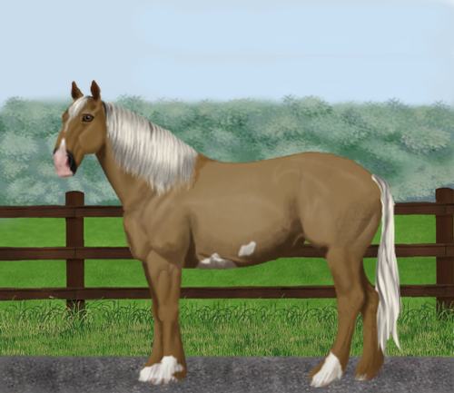 horse image