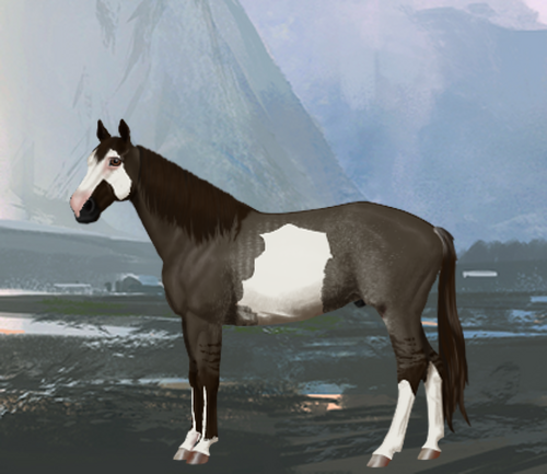 horse image