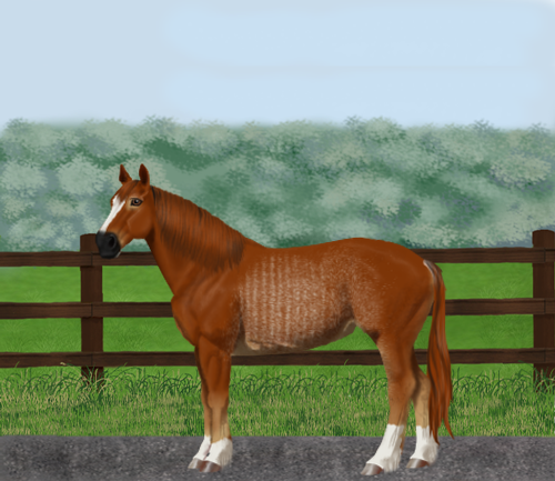 horse image