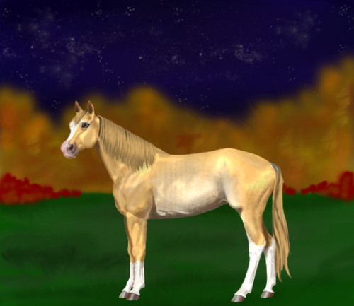 horse image