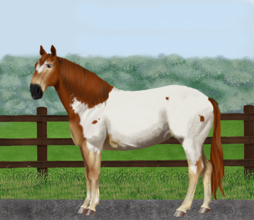 horse image