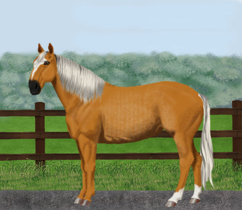 horse image