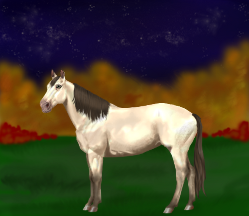 horse image