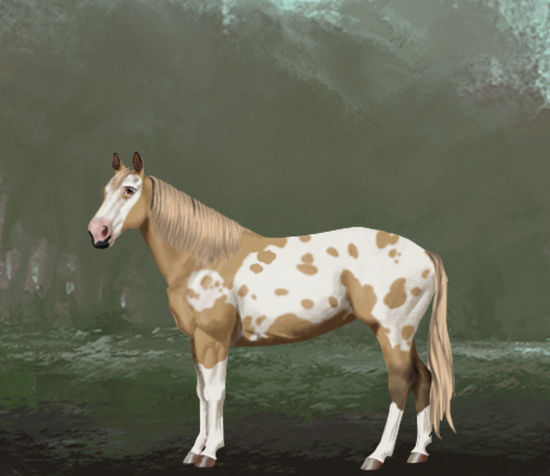 horse image