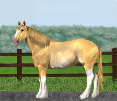 horse image