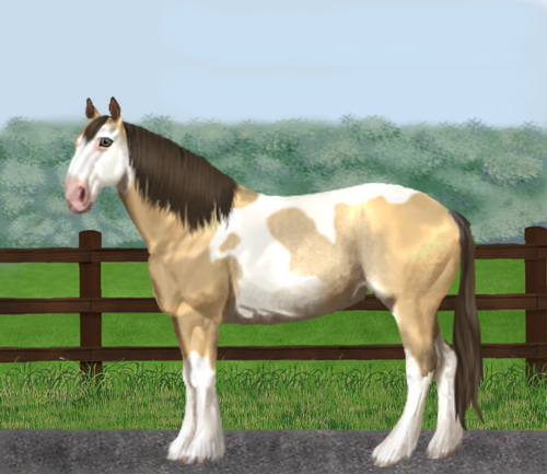 horse image