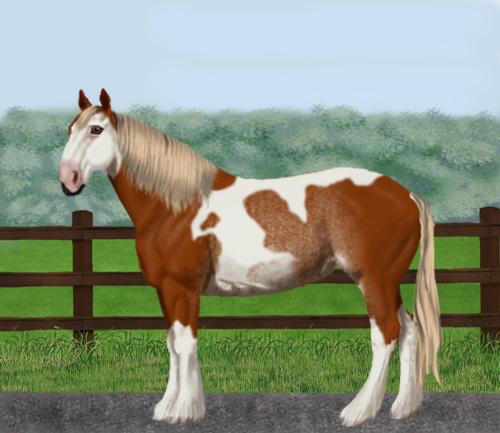 horse image