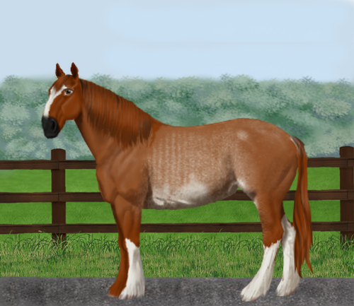 horse image