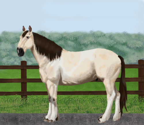 horse image