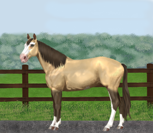 horse image