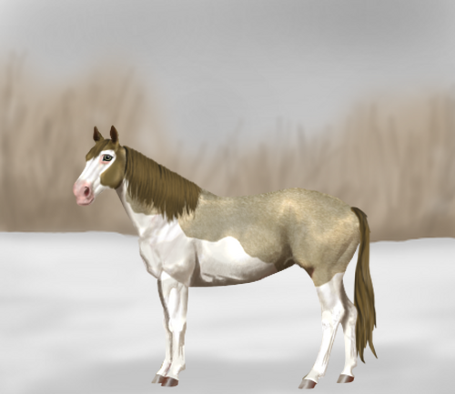 horse image