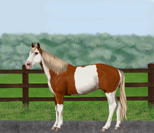 horse image