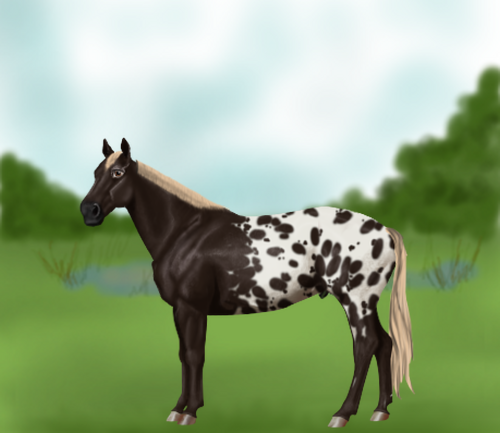 horse image