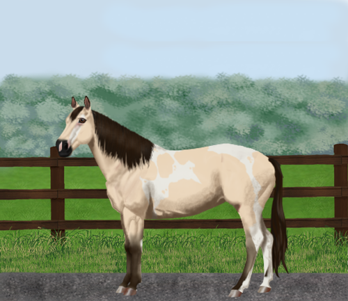 horse image