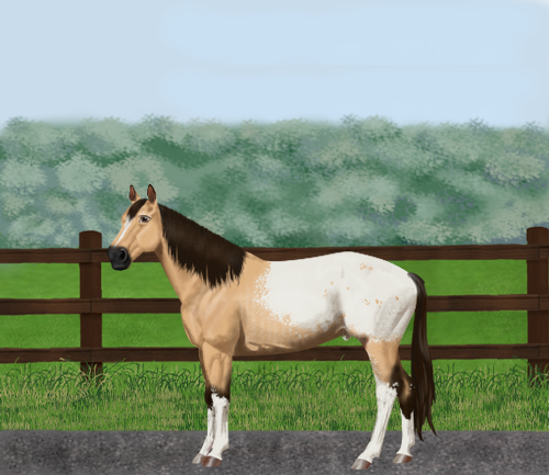 horse image