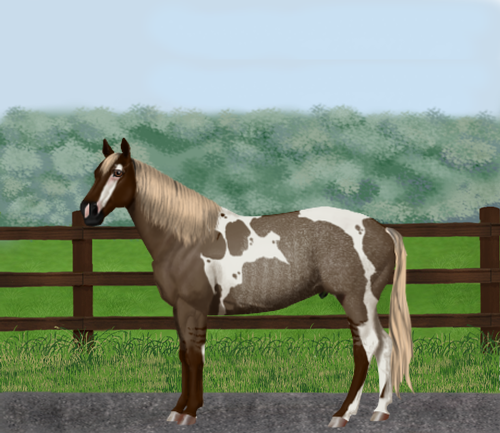 horse image