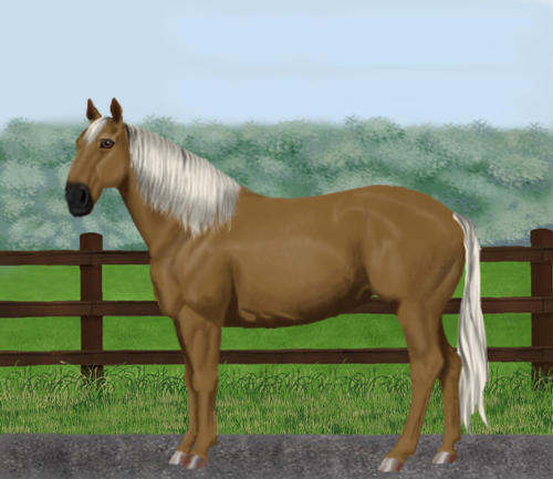 horse image