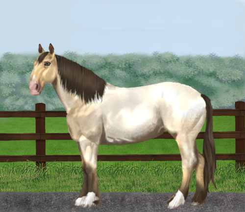 horse image