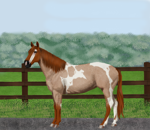 horse image