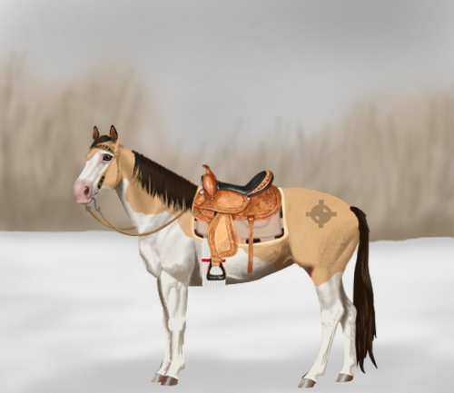 horse image