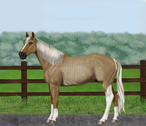 horse image